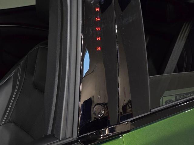 Photo of 2025 Eruption Green Metallic Ford Mustang Mach-E