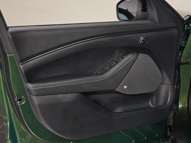 Photo of 2025 Eruption Green Metallic Ford Mustang Mach-E