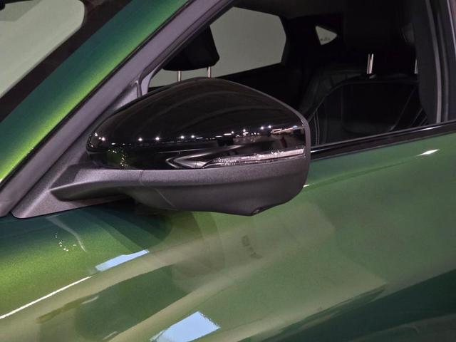 Photo of 2025 Eruption Green Metallic Ford Mustang Mach-E