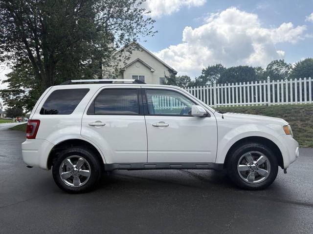 Photo of 2011 White Suede Ford Escape