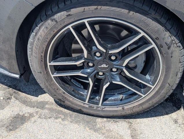 Photo of 2020 Magnetic Ford Mustang