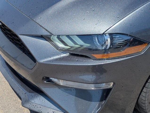 Photo of 2020 Magnetic Ford Mustang