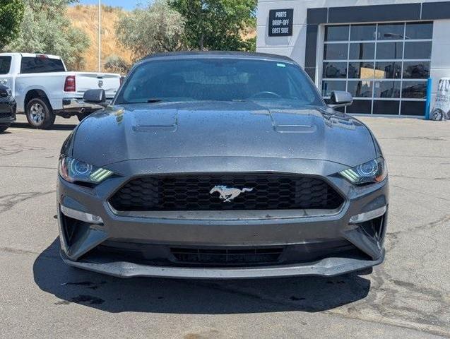 Photo of 2020 Magnetic Ford Mustang