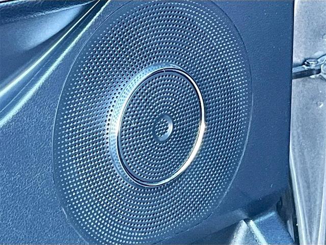 Photo of 2021 Magnetic Metallic Ford Expedition Max