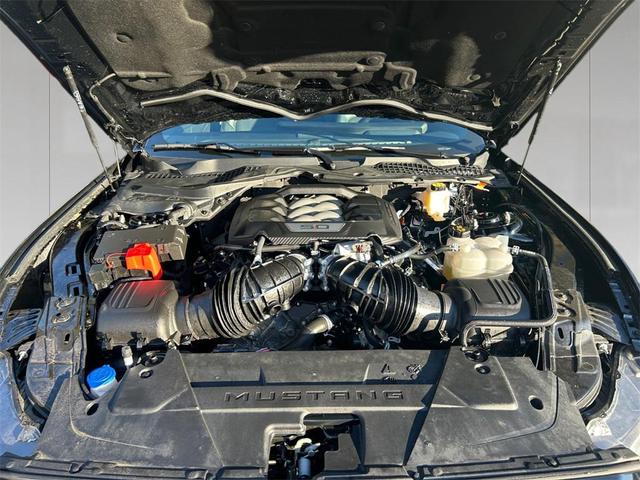Photo of 2024 SHADOW BLACK Ford Mustang