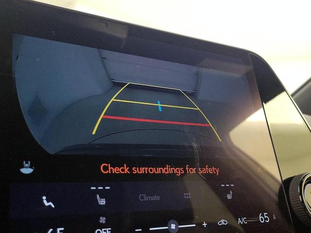 Photo of 2022 Green Lexus NX 250