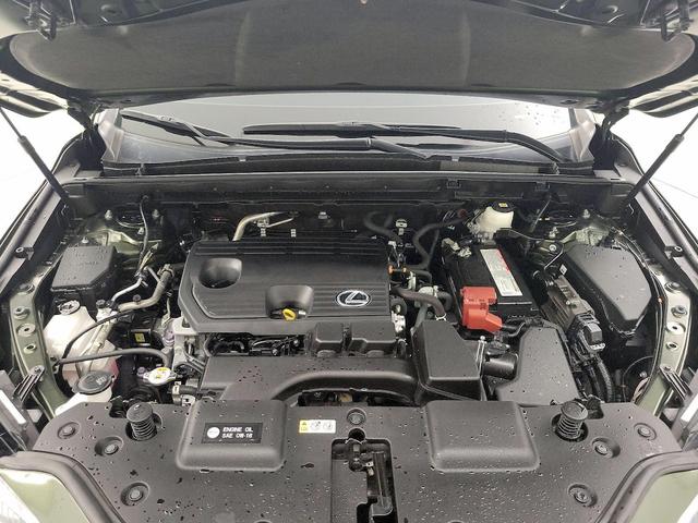 Photo of 2022 Green Lexus NX 250