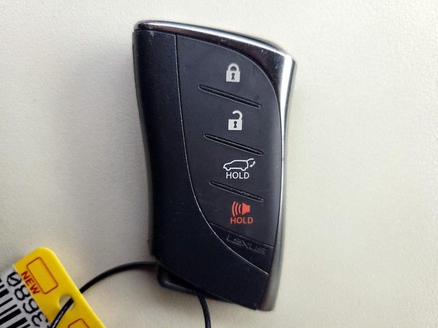 Photo of 2022 Green Lexus NX 250