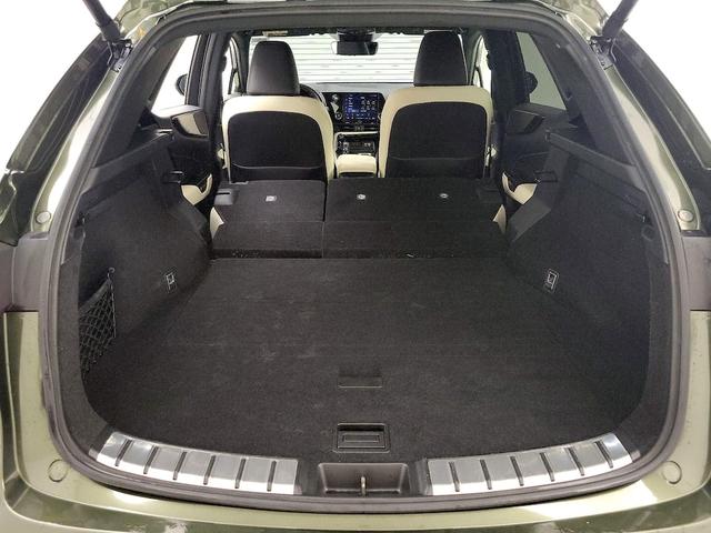 Photo of 2022 Green Lexus NX 250