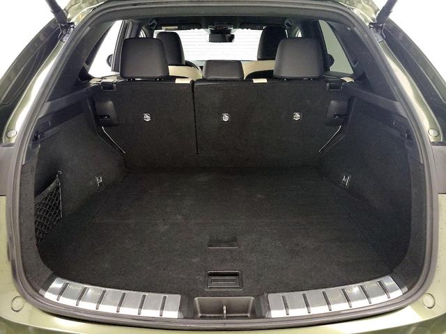 Photo of 2022 Green Lexus NX 250