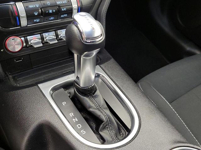 Photo of 2019 Blue Ford Mustang