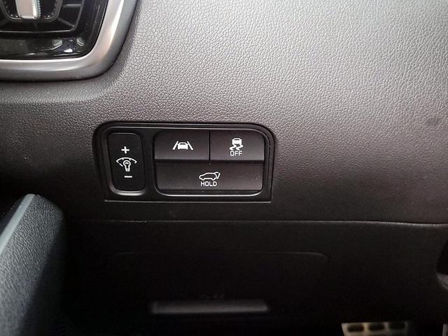 Photo of 2022 Green Kia Sorento