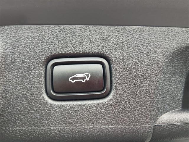 Photo of 2022 Rainforest Hyundai PALISADE