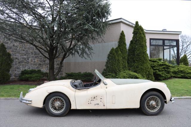 Photo of 1957 Ivory Jaguar XK 140
