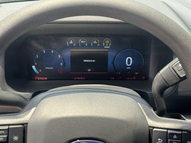 Photo of 2025 Agate Black Metallic Ford F-150