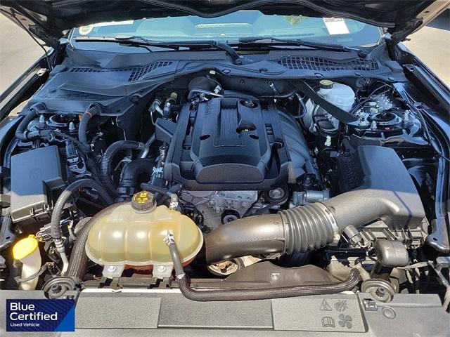 Photo of 2019 Shadow Black Ford Mustang