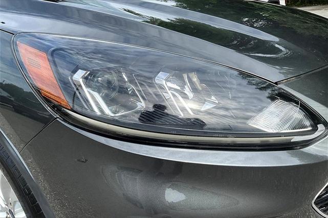 Photo of 2020 Magnetic Ford Escape