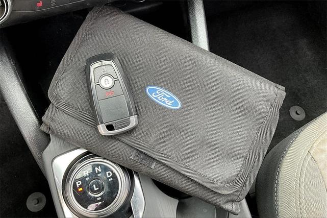 Photo of 2020 Magnetic Ford Escape