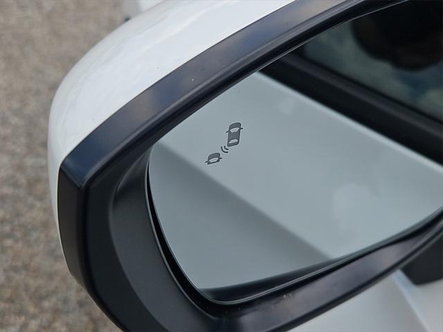 Photo of 2024 Platinum Honda Civic