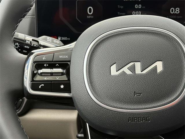 Photo of 2026 Panthera Metal Kia Carnival