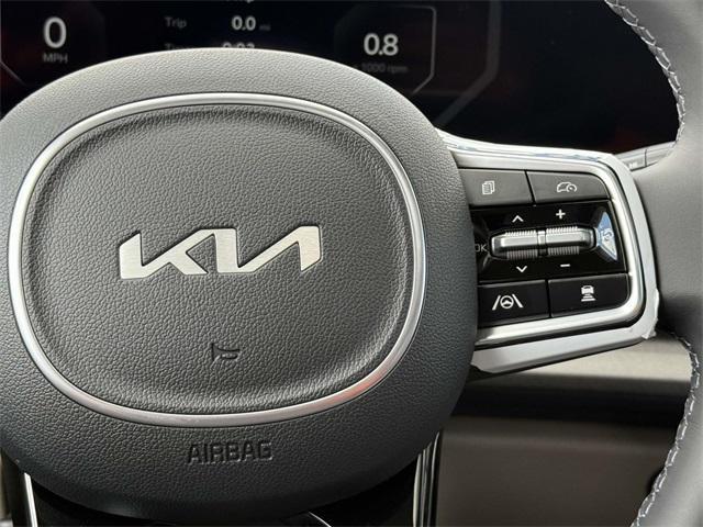 Photo of 2026 Panthera Metal Kia Carnival