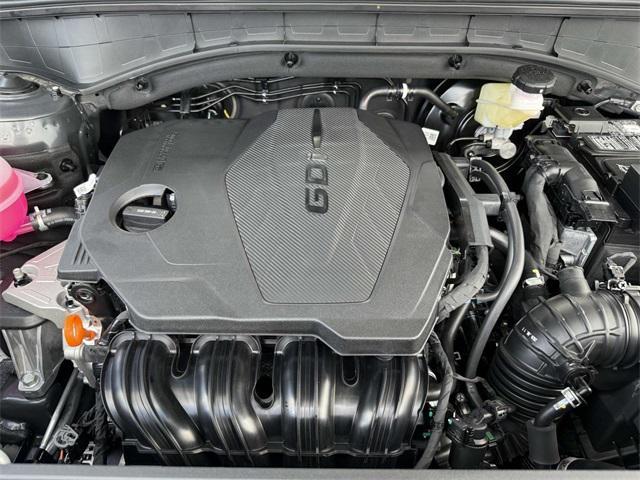Photo of 2025 Panthera Metal Kia Sorento