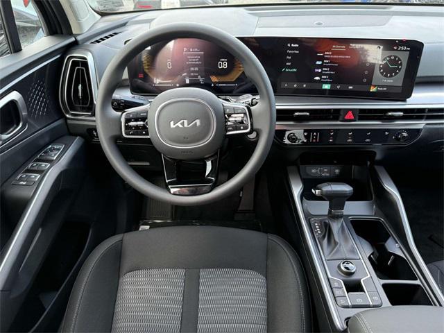Photo of 2025 Panthera Metal Kia Sorento