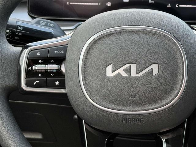 Photo of 2025 Panthera Metal Kia Sorento