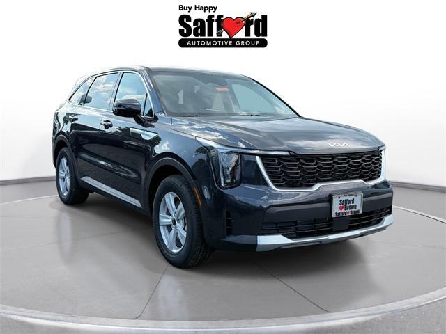 Photo of 2025 Panthera Metal Kia Sorento