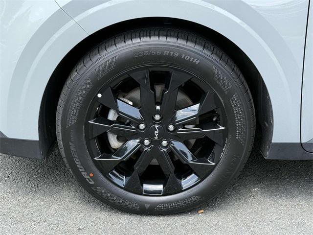 Photo of 2024 Ceramic Silver Kia Carnival