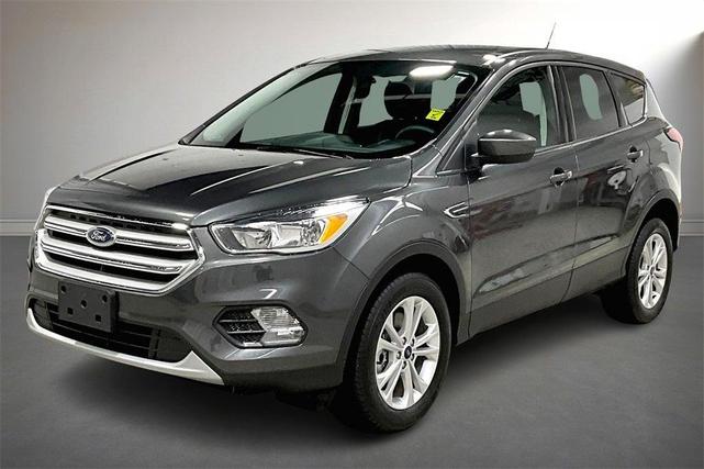 Photo of 2019 Magnetic Ford Escape