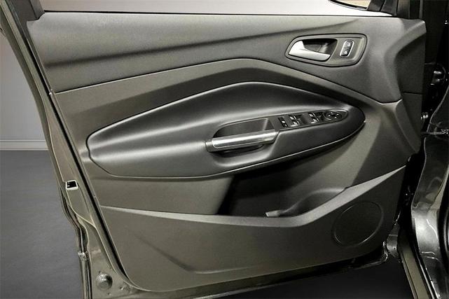 Photo of 2019 Magnetic Ford Escape