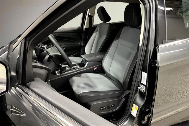 Photo of 2019 Magnetic Ford Escape