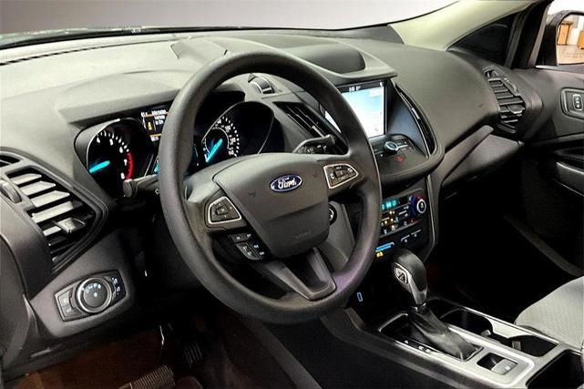 Photo of 2019 Magnetic Ford Escape