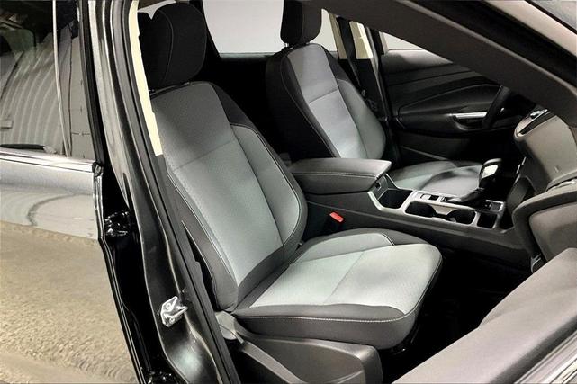 Photo of 2019 Magnetic Ford Escape