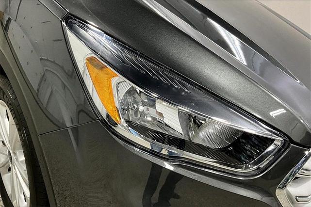 Photo of 2019 Magnetic Ford Escape