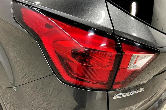 Photo of 2019 Magnetic Ford Escape