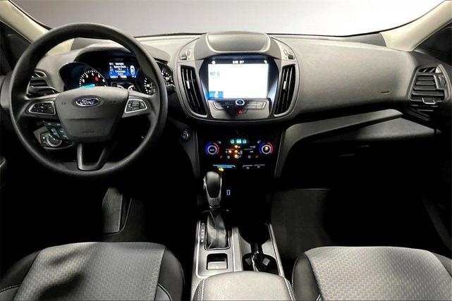Photo of 2019 Magnetic Ford Escape