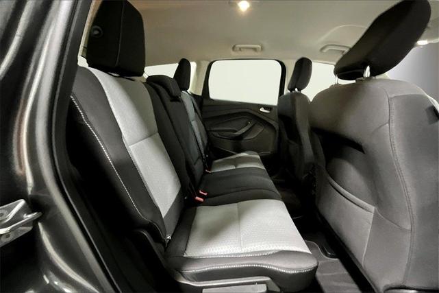 Photo of 2019 Magnetic Ford Escape