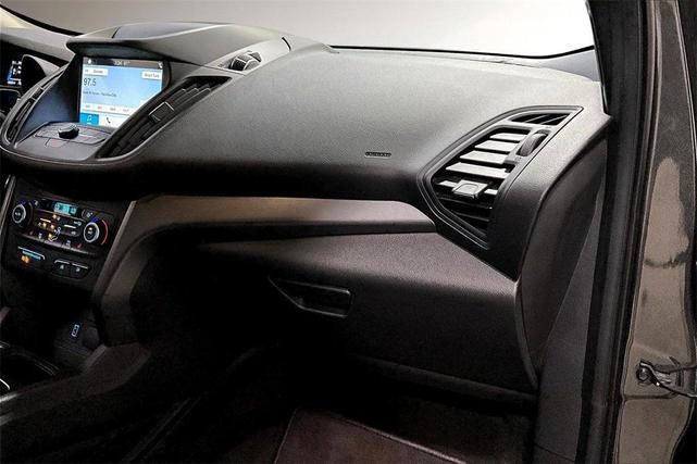 Photo of 2019 Magnetic Ford Escape