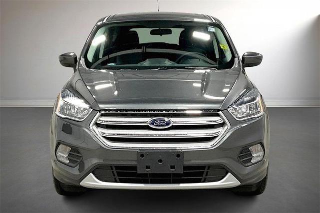 Photo of 2019 Magnetic Ford Escape