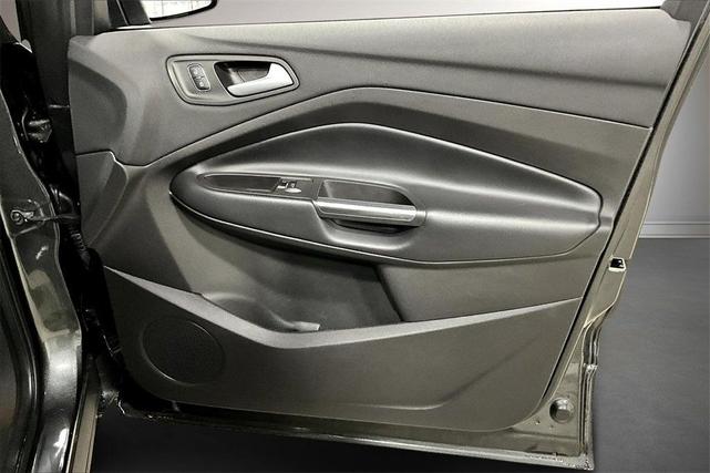 Photo of 2019 Magnetic Ford Escape