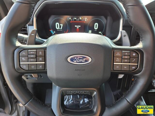 Photo of 2023 Silver Ford F-150