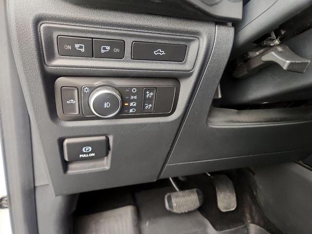 Photo of 2021 White Ford F-150