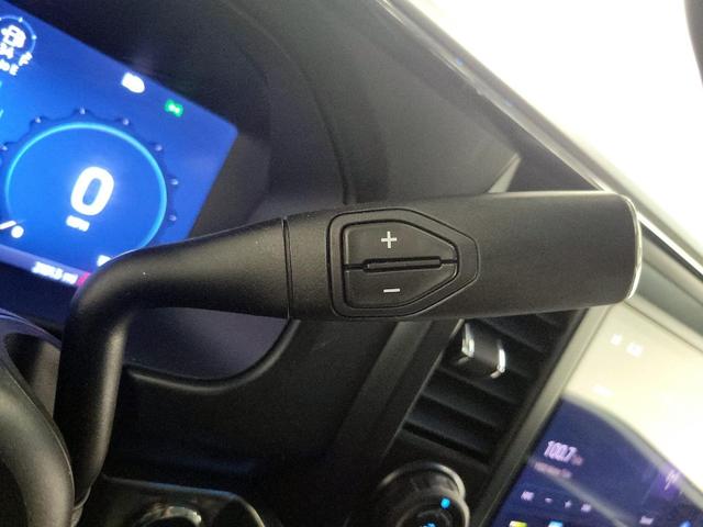 Photo of 2025 Gray Ford F-250