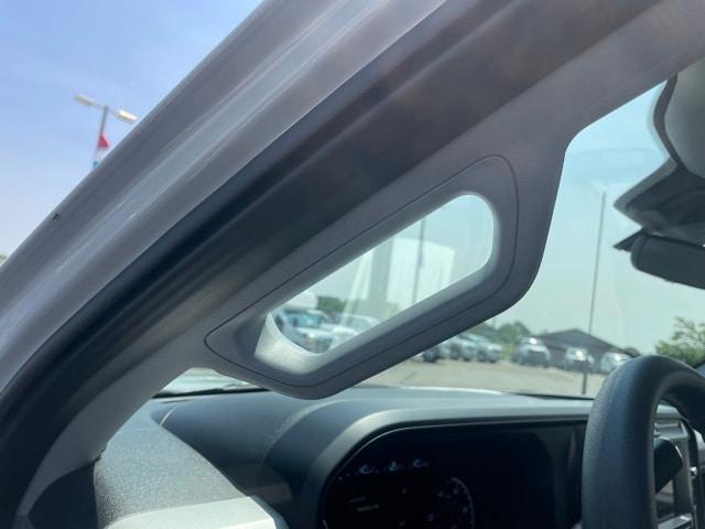 Photo of 2025 Avalanche Ford F-250