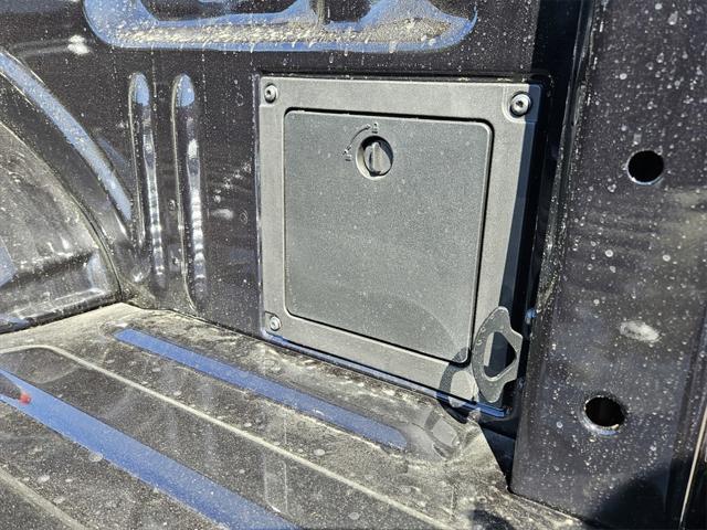 Photo of 2025 AGATE BLACK METALLIC Ford F-150