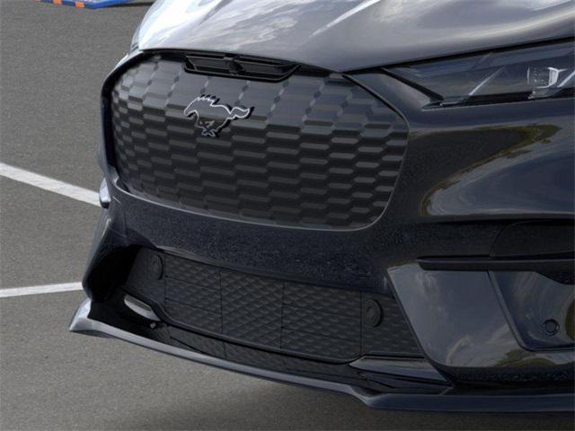 Photo of 2025 Shadow Black Ford Mustang Mach-E