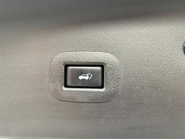Photo of 2019 Black INFINITI QX80
