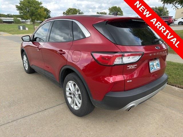 Photo of 2020 Rapid Red Metallic Tinted Clearcoat Ford Escape